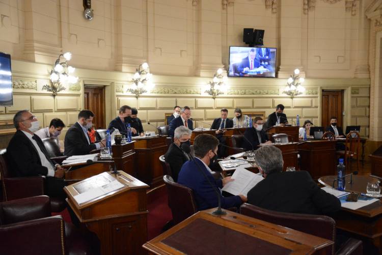 La Cámara de Senadores solicita información sobre la implementación del Plan Incluir a nivel provincial