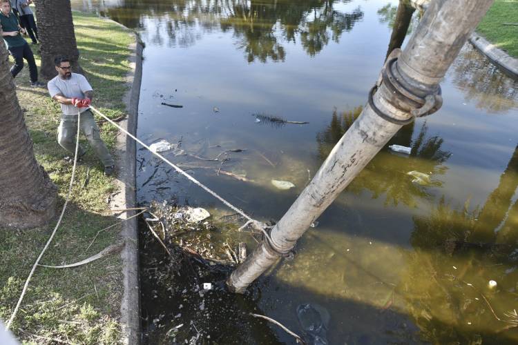 Comenzó el saneamiento y limpieza de los lagos del Parque Garay