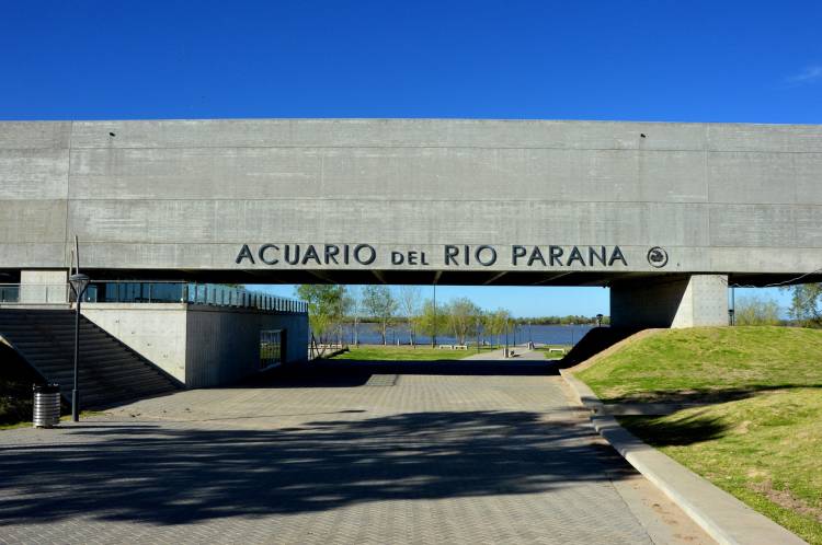 Explorá los humedales: se inaugura una nueva muestra fotográfica en el Acuario del Río Paraná