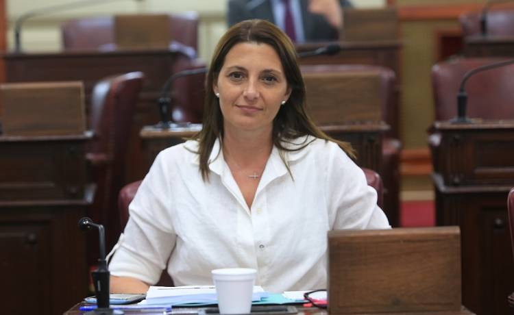 La diputada Florito pide que el ministro Sain vaya al recinto 