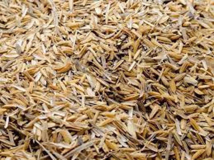 Aprovechan la cáscara de arroz para generar sílice y energía térmica