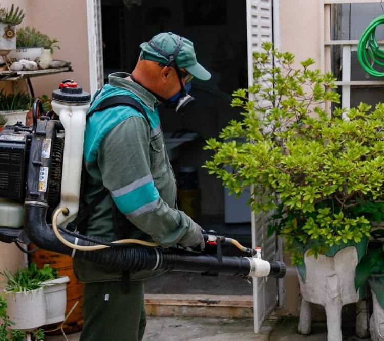 Dengue en Santa Fe: las dos modalidades de trabajo implementadas en barrios